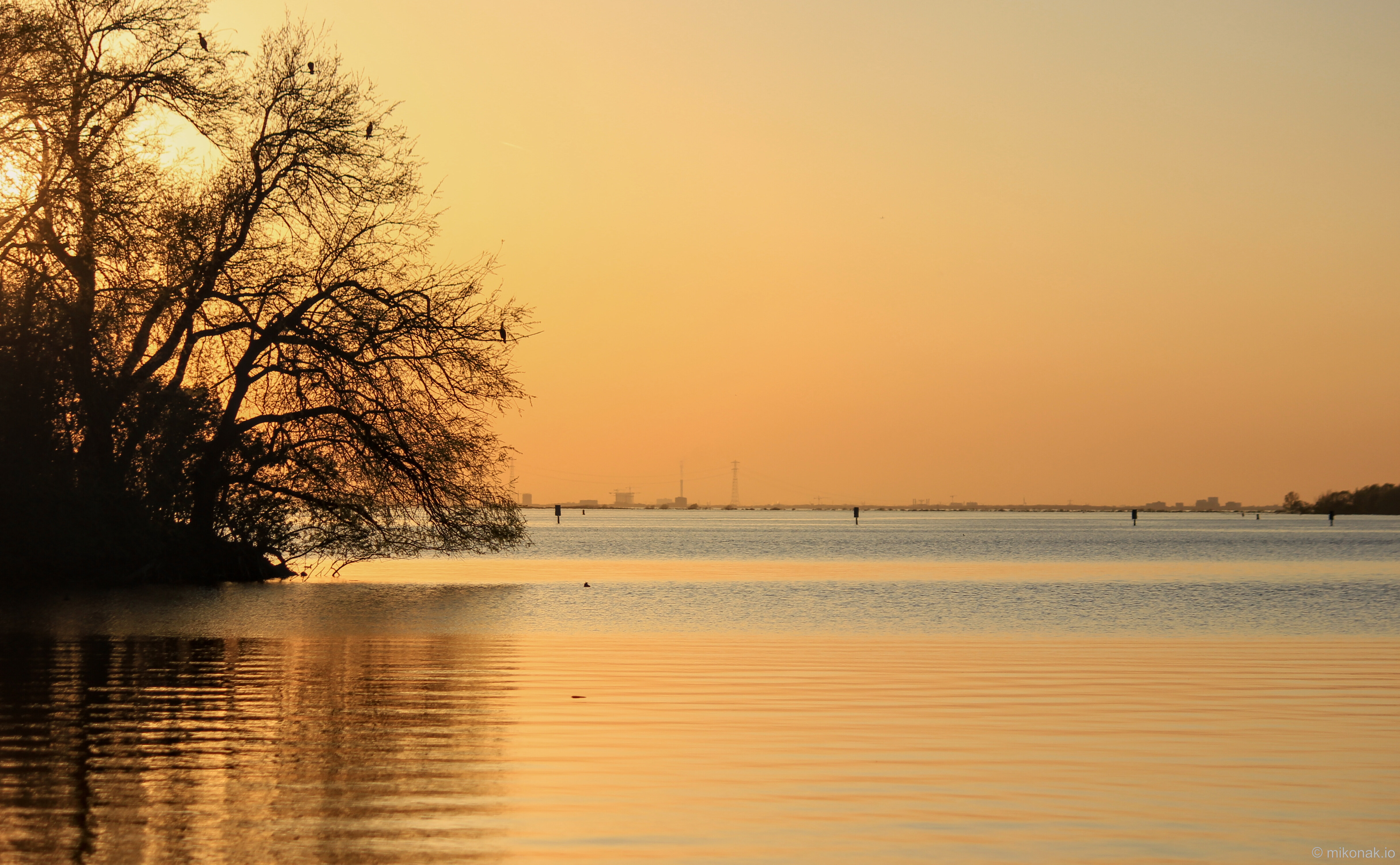 Golden Lake Reflections